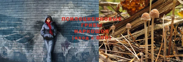 мефедрон мука Богданович